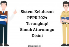 Sistem Kelulusan PPPK 2024 Terungkap! Simak Aturannya di Sini