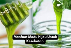 4 Manfaat Madu Hijau untuk Kesehatan yang Bikin Penasaran, Yuk Cek Khasiatnya!