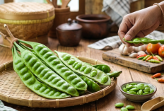 Jangan Sepelekan Bau Menyengatnya! 10 Khasiat Petai Bagi Kesehatan Tubuh, Bisa Mencegah Stroke dan Anemia