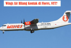Pesawat Wings Air Hilang Kontak dan Jatuh di Flores NTT? Begini Faktanya!