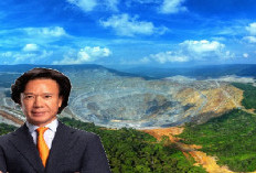 Dapat Jabatan Baru, Dirut Amman Mineral Mundur, Siapa Penggantinya?