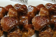 Buah Kurma Kaya Nutrisi! Ini 10 Manfaatnya untuk Kesehatan Tubuh
