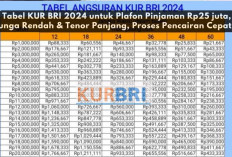 Tabel KUR BRI 2024 untuk Plafon Pinjaman Rp25 juta, Bunga Rendah & Tenor Panjang, Proses Pencairan Cepat...