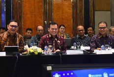 FGD Bersama Komisi XI DPR RI dan BSBI, Pj Gubernur Elen Sebut Pertumbuhan Ekonomi Sumsel Tertinggi di Sumatera