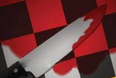 Pria Bersenjata Pisau Ditangkap Dekat Kedubes AS di Tokyo, Polisi Terluka