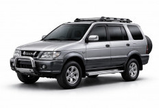 Diesel Bandel Panther Touring Bekas di Bawah Rp100 Juta Masih Jadi Incaran: Solar Irit, Mesin Nggak Rewel! 