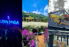3 Tempat Hits di Lembang! Hutan Mycelia, Gia’s Grange, & Golden Pine Bikin Liburan Makin Aesthetic