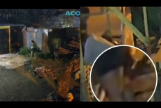 Geger, Remaja Terekam CCTV Melahirkan di Warung, Bayi Langsung Dibuang ke Semak-semak! 