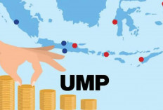 7 Provinsi Indonesia Dengan UMP Terendah 2025, Apakah Daerahmu Termasuk?