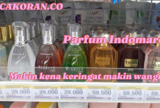 Wajib Punya! Rekomendasi Parfum di Indomaret Makin Wangi Kena Keringat, Bikin Cowok Klepek Klepek