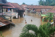 Level Waspada! BMKG Peringati Hujan Ekstrem, Banjir Bandang dan Longsor, Ini Yang Harus Dilakukan?