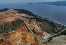 Gila! Tambang Nikel Merugikan, Kerugian Ekonomi Raja Ampat Diduga Tembus sampai Rp852 Miliar 