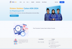 250.407 Formasi CPNS 2024 Dibuka, Ini Panduan Lengkap Syarat, Cara Daftar dan Buat Akun SSCASN, Jangan Salah!