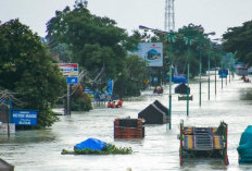 Tanggul Jebol, Banjir Bandang Meluas Setinggi 1,5 Meter, Jalan Pantura Lumpuh Total ' Pray For Demak'