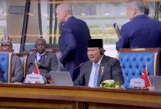 Erdogan Walk Out saat Prabowo Pidato di KTT D-8, Begini Kronologinya!