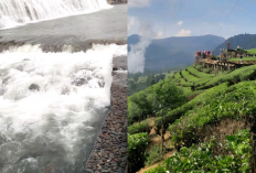 Wisata Pagar Alam Seru Abis! Eksplor Tanjung Sakti, Bukit Tungguan & Gunung Dempo