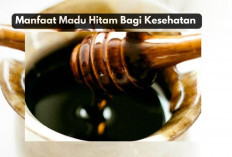 5 Manfaat Madu Hitam bagi Kesehatan, Bisa Mengontrol Kadar Gula Darah dan Meredakan Batuk Pilek Lho