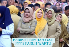 Rincian Gaji PPPK Paruh Waktu 2024, Penting untuk Honorer yang Gagal Seleksi Tahap 1 dan 2