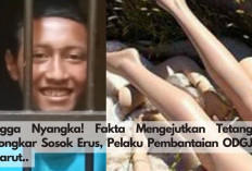 Ngga Nyangka! Fakta Mengejutkan Tetangga Bongkar Sosok Erus, Pelaku Pembantaian ODGJ di Garut, Ternyata.. 