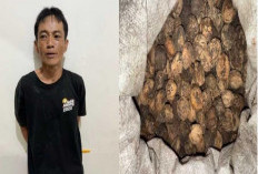 Pencuri Sekeranjang Coklat dan Kemiri Ditangkap Tim Operasi Sikat II Musi 2025