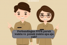 Masih Bingung? Apa sih Perbedaan PPPK Penuh Waktu Dan Paruh Waktu, Berikut Selengkapnya