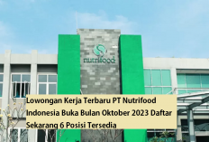 Lowongan Kerja Terbaru PT Nutrifood Indonesia Buka Bulan Oktober 2023 Daftar Sekarang 6 Posisi Tersedia