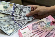 USD Perkasa Usai The Fed Tahan Suku Bunga, Rupiah Tertekan ke Rp17.800-an, Yen Dekati Zona Intervensi