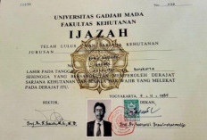 Terus Berlanjut, Polisi Periksa 117 Saksi dalam Kasus Tudingan Ijazah Palsu Jokowi, Siapa Saja?