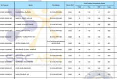 Info CPNS BPS 2024! Ada Desi & Abdul Ini Link Pengumuman Hasil SKD Berhasil Lolos Lanjut Tahapan SKB