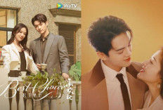 6 Rekomendasi Drama China Romantis Tentang Perkantoran yang Bikin Baper, Auto Melting Abis! 