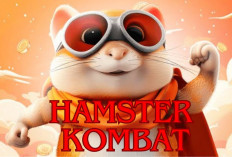 Raih Kemenangan! Kode Morse Hamster Kombat 12 Juli 2024 Sudah Keluar, Ayo Klaim Sekarang...