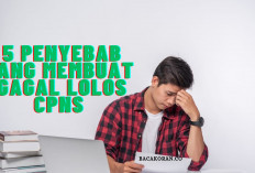 Gagal Lolos CPNS? Kenali 5 Penyebab yang Perlu Diketahui, Salah Satu nya Berkas Tidak Lengkap!