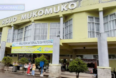 RSUD Mukomuko: Nyamuk, Ancaman Tak Terduga di Teras Rumah Sakit...