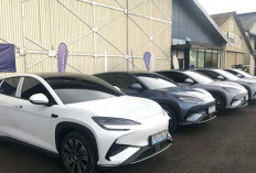 Tesla Auto Kegeser, Penjualan Mobil Listrik BYD Meningkat Tajam, Raja Mobil Listrik 2025!