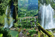 Rekomendasi Curup di Pagar Alam Sumatera Selatan, Keindahan Alam yang Memukau!