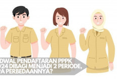 Pendaftaran PPPK 2024 Terbagi dalam 2 Periode, Catat Tanggalnya dan Ketahui Perbedaannya!