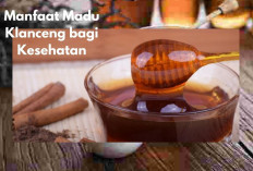 6 Manfaat Madu Klanceng bagi Kesehatan Salah Satunya Bisa Menurunkan Kolesterol Lho