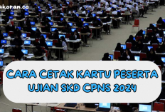 Siap Hadapi SKD CPNS 2024? Pastikan Kartu Ujian Kamu Sudah Dicetak!