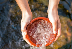 Banyak Merk Air Mineral yang Asli Dari Pegunungan Cuma Klaim, Ini Buktinya
