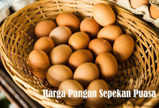 Sepekan Puasa Ramadan, Mayoritas Harga Pangan Turun, Bagaimana Beras, Telur dan Minyak Goreng?