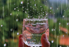 9 Manfaat Air Hujan, Obat Segala Penyakit Hingga Bahan Pestisida Alami Untuk Tanaman Pertanian