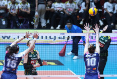 Gresik Phonska Plus Luar Biasa! Tak Terkalahkan, Juara Putaran Pertama Proliga 2026