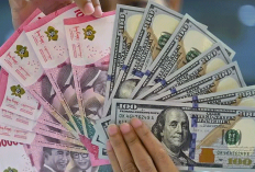 Rupiah Masih Tertekan! USD Menguat Dua Hari Beruntun, BI Naikkan Suku Bunga Demi Selamatkan Pasar