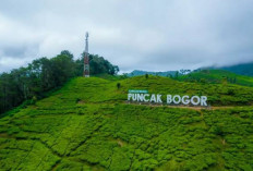 5 Rekomendasi Tempat Wisata Menarik di Puncak Bogor, Suasana Adem yang Bikin Hati Tenang, Wajib Kesini! 