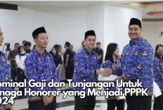 Selamat Tenaga Honorer! Ini Nominal Gaji yang Akan Diterima Jika Lulus PPPK 2024, Dapat Tunjangan Juga?