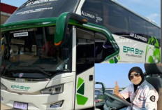 Driver Cantik Bus EPA Star, Penakluk Jalur Ekstrem Sumatera, Ini Skill Dewanya! 