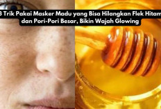 3 Trik Pakai Masker Madu yang Bisa Hilangkan Flek Hitam dan Pori-Pori Besar, Bikin Wajah Glowing ala Selebgram