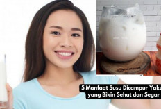 5 Manfaat Susu Dicampur Yakult yang Bikin Sehat dan Segar, Yuk Rasakan Khasiatnya