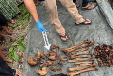 Update, Kerangka Manusia di Pohon Aren Hasil Tes DNA Adalah Muhammad Yudha, Pria Hilang 2 Tahun Lalu!