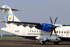 Serpihan ATR 42-500 Ditemukan, KNKT Ungkap Dugaan Sementara Pesawat Menabrak Gunung Bulusaraung!